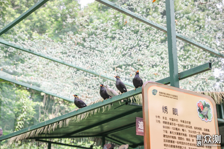 三亚 | 五天四晚环岛旅游攻略 美食推荐_新浪众测