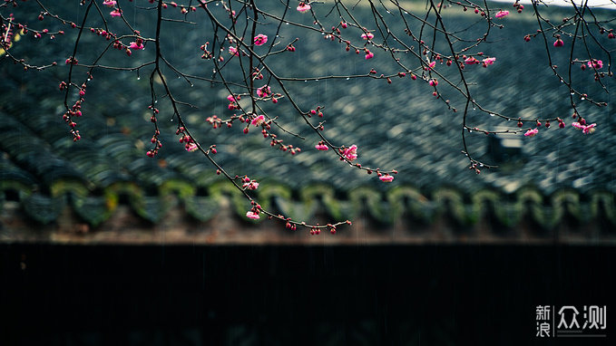 春节乌镇喊你来体验江南水乡，一起过大年_新浪众测