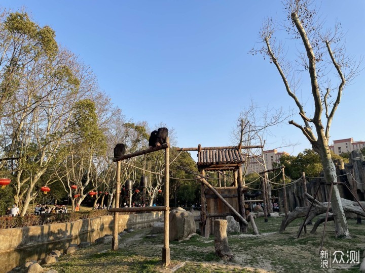 上野快闪，探秘棕熊事件后的上海野生动物园_新浪众测