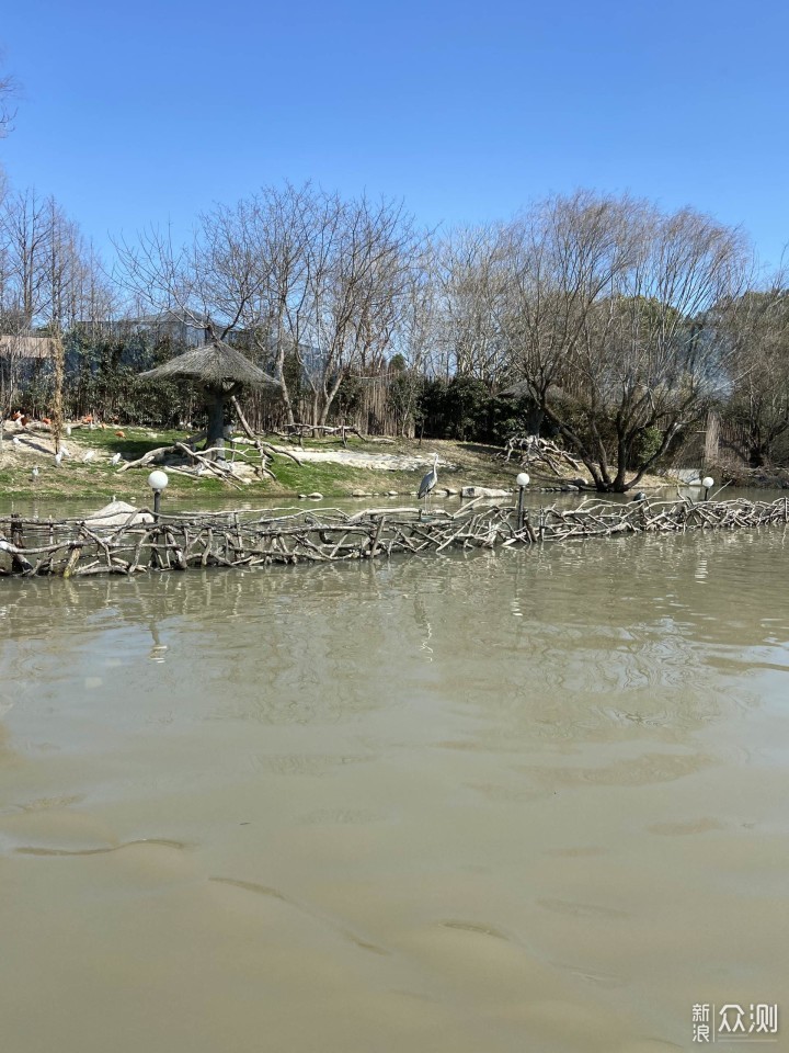 上野快闪，探秘棕熊事件后的上海野生动物园_新浪众测