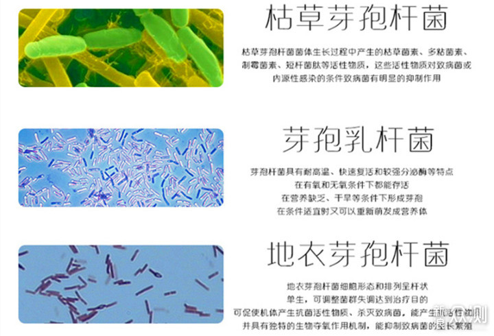 有害真菌的克星 ——科里思特益生菌喷雾测评_新浪众测