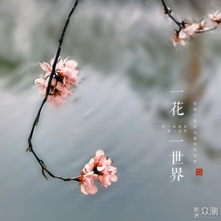 天津游园赏花好去处｜带你游十里“桃花堤”_新浪众测