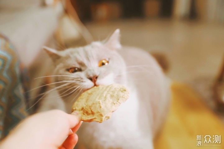 DIY自制宠物零食肉干：好吃到舔爪_新浪众测