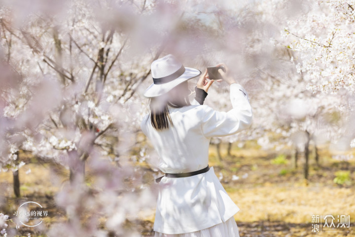 自驾春游郎溪，五颜六色的花花谁不爱_新浪众测