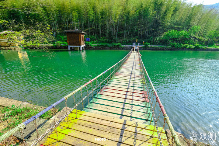 春日美好，快来宜兴竹海做一次深氧之旅吧！_新浪众测