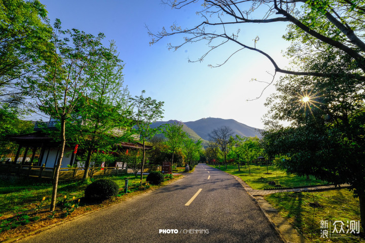 春日美好，快来宜兴竹海做一次深氧之旅吧！_新浪众测