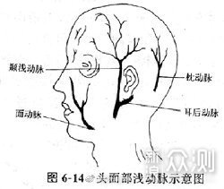 现场外伤急救技术_新浪众测