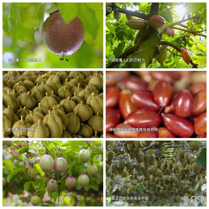 五部赏心悦目美食纪录片推荐，绝对有你喜欢的_新浪众测