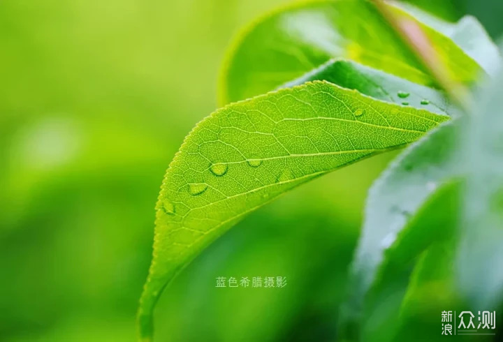 立夏：只有青梅，没有竹马_新浪众测