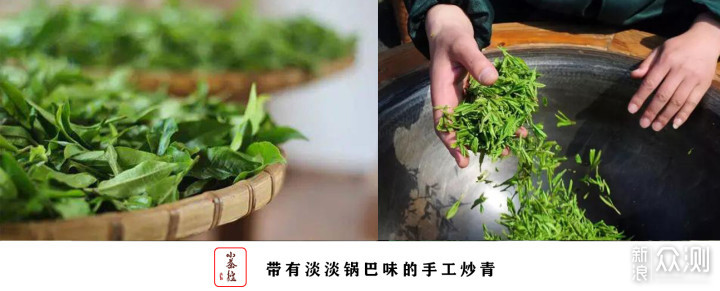 普洱新嘴看过来 17个点带你初步认识普洱茶_新浪众测