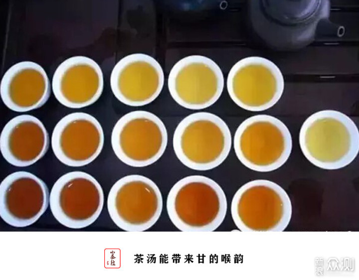 普洱新嘴看过来 17个点带你初步认识普洱茶_新浪众测