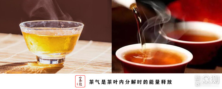 普洱新嘴看过来 17个点带你初步认识普洱茶_新浪众测