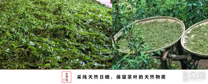 普洱新嘴看过来 17个点带你初步认识普洱茶_新浪众测