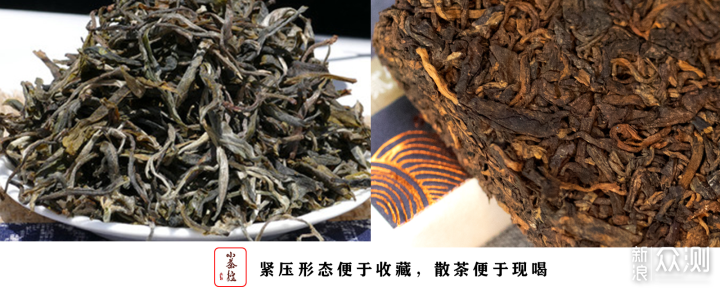 普洱新嘴看过来 17个点带你初步认识普洱茶_新浪众测