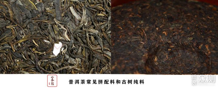 普洱新嘴看过来 17个点带你初步认识普洱茶_新浪众测