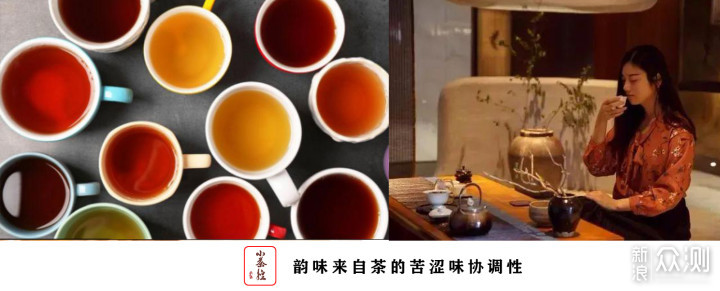 普洱新嘴看过来 17个点带你初步认识普洱茶_新浪众测