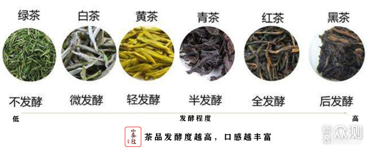 普洱新嘴看过来 17个点带你初步认识普洱茶_新浪众测