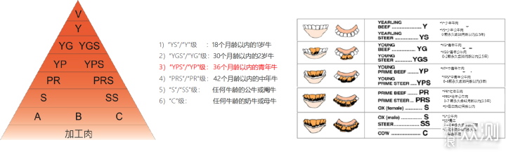 买牛排可以先看这个攻略，关于牛排一些知识点_新浪众测