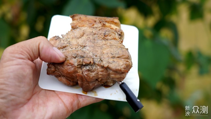 拔草芬兰邻居推荐的神器，变身成了BBQ小能手_新浪众测