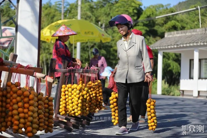 国庆去哪里？上虞长塘柿子红了，捕捉暖秋色彩_新浪众测