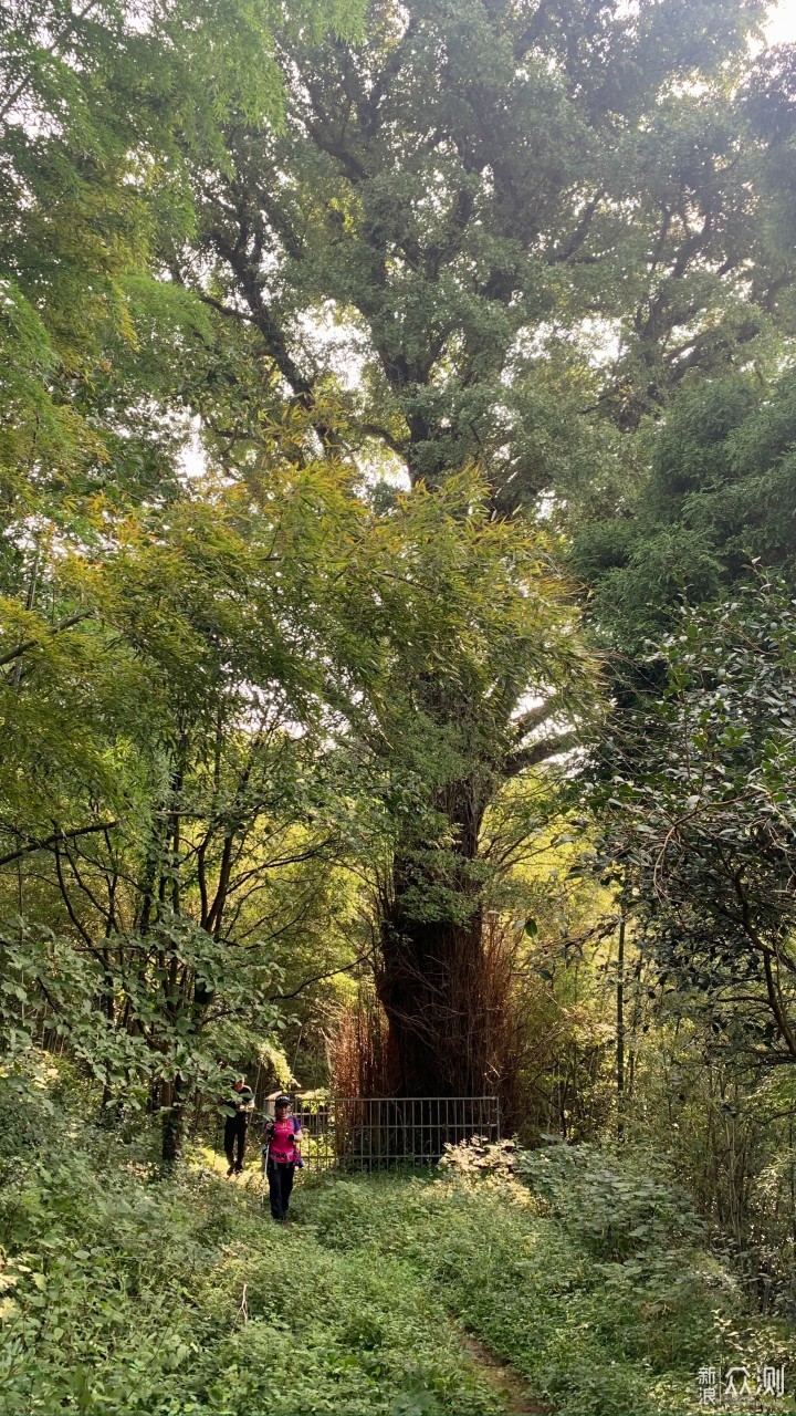 庐山印象12，如何登上庐山最险峻的幡杆峰_新浪众测