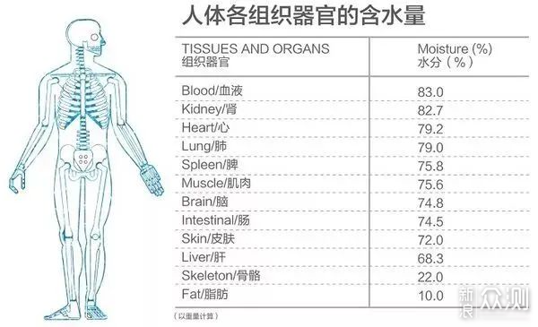 东菱、大宇、摩飞、乐扣、Bruno烧水杯横评_新浪众测