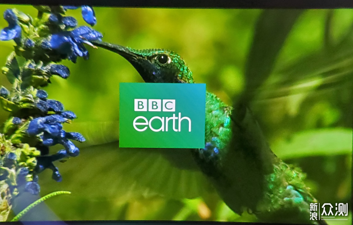 便携隐私大屏GOOVIS Pro/Lite头戴显示器体验_新浪众测