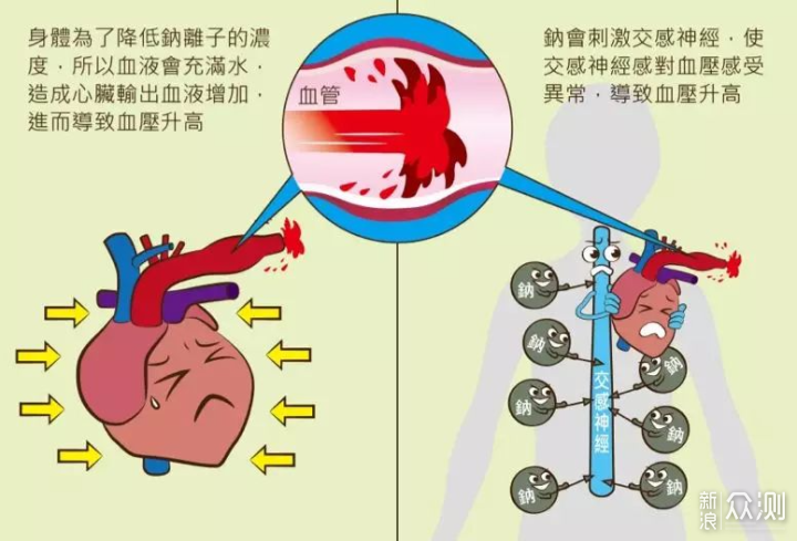 就算你吃盐比我吃饭还多，也不能证明你会买盐_新浪众测