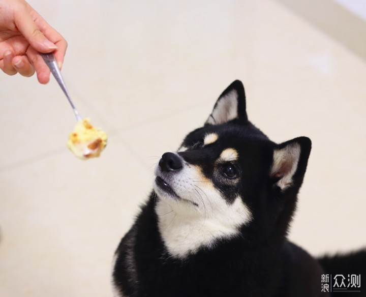 5道料理玩转空气炸烤箱～咦还有网红蛋糕！_新浪众测