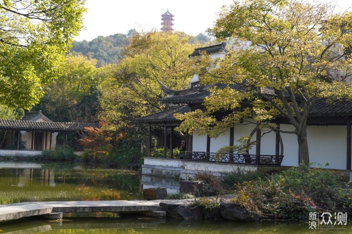 沉醉在江南诗画里 打卡《司藤》取景地_新浪众测