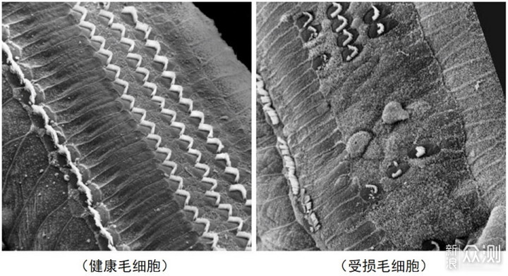 长期戴耳机会影响听力吗？终于有答案了_新浪众测