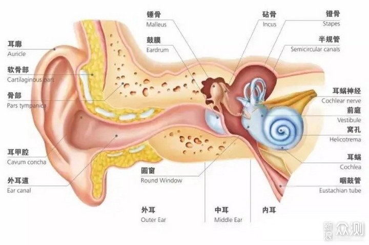 长期戴耳机会影响听力吗？终于有答案了_新浪众测