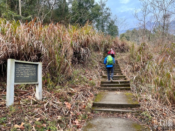 庐山印象15,自归宗上金轮峰,雾中探路紫霄峰_新浪众测