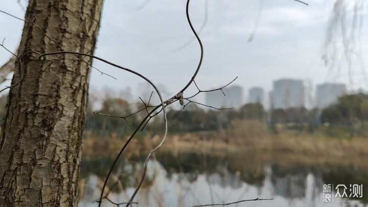 新旗舰体验到底如何？一加10 Pro上手十日总结_新浪众测