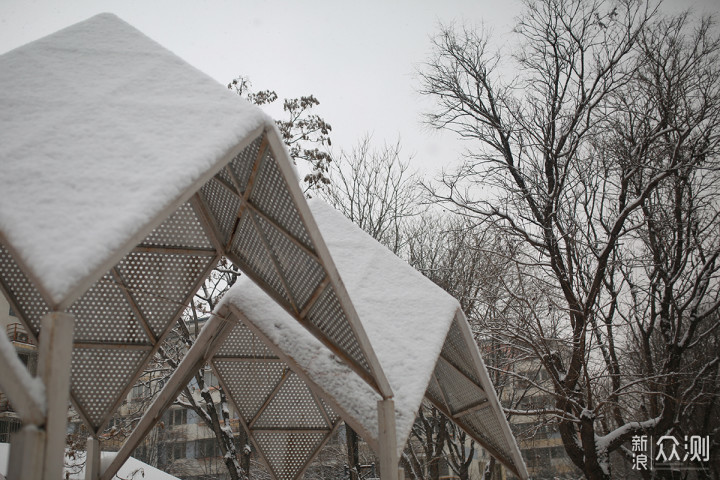 二月飘雪，用手机记录赶在节日前的浪漫_新浪众测