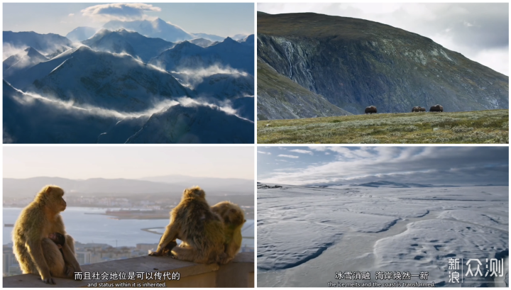 那些适合与孩子一起看的自然地理类纪录片_新浪众测