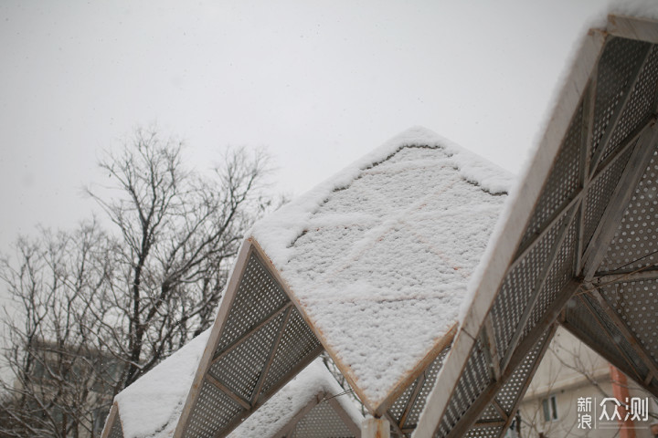 二月飘雪，用手机记录赶在节日前的浪漫_新浪众测