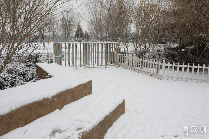 二月飘雪，用手机记录赶在节日前的浪漫_新浪众测