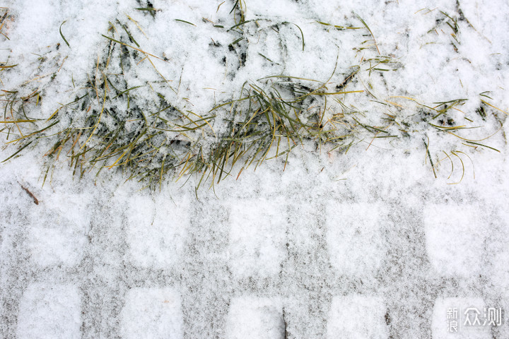 二月飘雪，用手机记录赶在节日前的浪漫_新浪众测