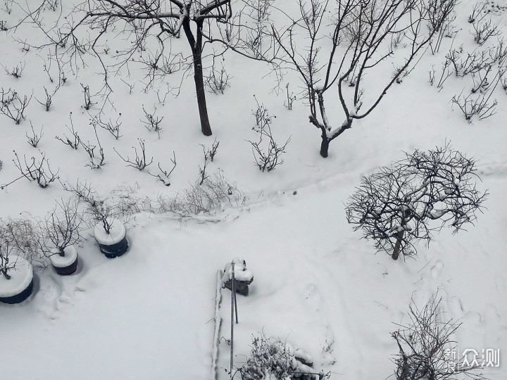 二月飘雪，用手机记录赶在节日前的浪漫_新浪众测