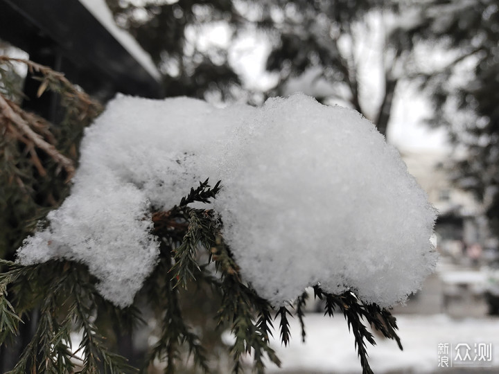 二月飘雪，用手机记录赶在节日前的浪漫_新浪众测