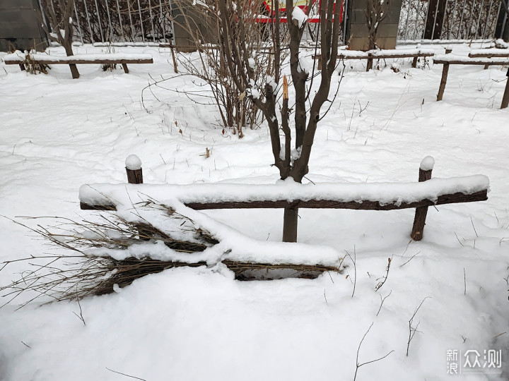 二月飘雪，用手机记录赶在节日前的浪漫_新浪众测