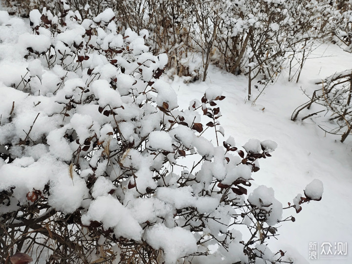 二月飘雪，用手机记录赶在节日前的浪漫_新浪众测