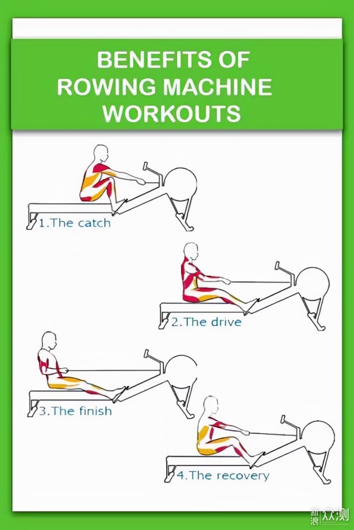 从姿势教学到选购，新手必看的划船机入坑指南_新浪众测