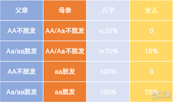 秃顶基因的遗传图解图片