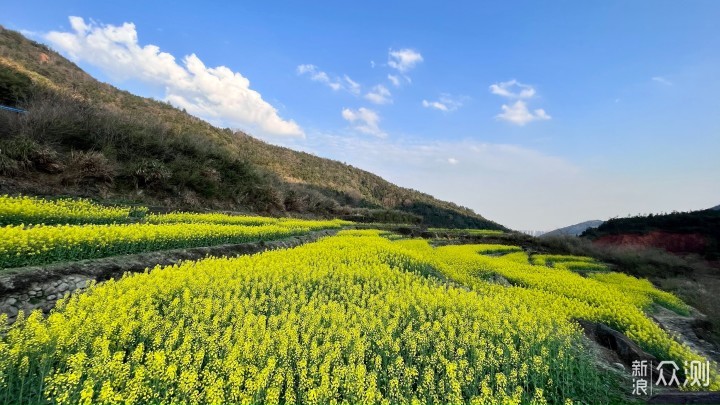 梅岭印象4，访千年古村牛岭，享梯田油菜花谷_新浪众测