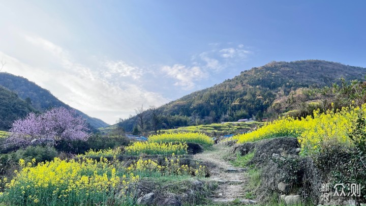 梅岭印象4，访千年古村牛岭，享梯田油菜花谷_新浪众测