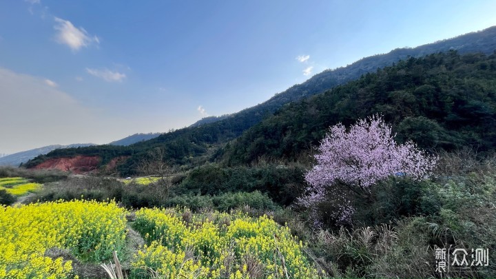 梅岭印象4，访千年古村牛岭，享梯田油菜花谷_新浪众测