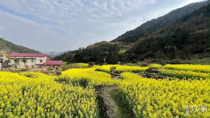 梅岭印象4，访千年古村牛岭，享梯田油菜花谷_新浪众测