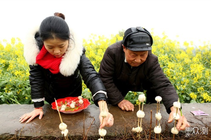 春分，忌1事，吃3样，做4事，平安顺吉过春季_新浪众测